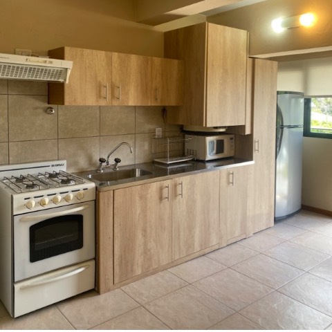 Apart B Cocina 